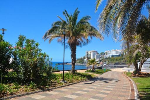 Leilighet Falesia Paradise By Hr Madeira Funchal (Madeira)