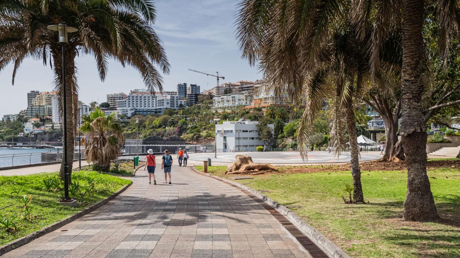 Leilighet Falesia Paradise By Hr Madeira *